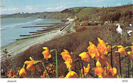 AMROTH, PEMBROKESHIRE, WALES. Circa 1984 USED POSTCARD Kg4 - Pembrokeshire