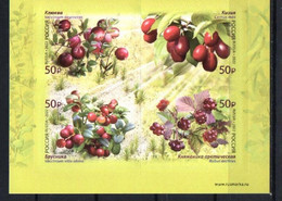 Russia 2022. Flora Of Russia. Berries. Fruit. Plants. MNH - Unused Stamps