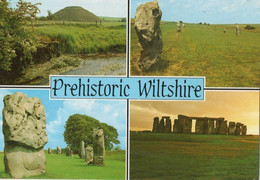PREHISTORIC WILTSHIRE - F.G. - Stonehenge