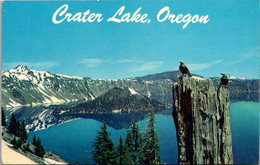Oregon Crater Lake Panoramic View With Native Birds Clark's Nutcracker - Altri & Non Classificati