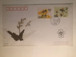 China FDC 1993 Bee - 1990-1999