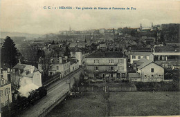 Bizanos * Vue Générale De La Commune Et Panorama De Pau * Passage Du Train * Ligne Chemin De Fer - Bizanos