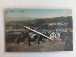 WEILLEN - Panorama - Nels Colorisé - 1918 - Onhaye