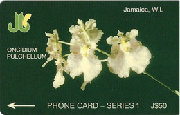 JAMAICA - ONCIDIUM PULCHELLUM - 11JAMA - Giamaica