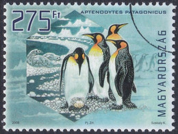 Specimen, Hungary Sc4112 Polar Region & Glaciers Preservation, Penguin, Manchot - Préservation Des Régions Polaires & Glaciers