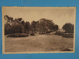 Oostduinkerke Duinpark Joie Et Santé Le Petit Bois - Oostduinkerke