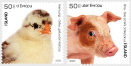 Iceland 2020 The Young Of Icelandic Domestic Animals Set Of 2 Stamps Mint - Oblitérés