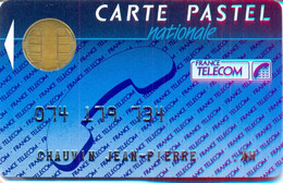 FRANCE : FRA16 CARTE PASTEL NATIONALE BULL Small Reverse 1 USED -  Schede Di Tipo Pastel   