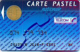 FRANCE : FRA16 CARTE PASTEL NATIONALE BULL Small Reverse 1 USED -  Cartes Pastel   