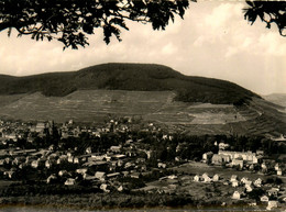 Guebwiller * Vue Partielle Des Vignobles Schlumberger - Guebwiller