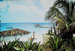 ► CLUB BONAIRE - Flamingo Beach (Antilles Néeerlandaises) - Bonaire