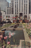 USA - New York - The Channel Gardens - Rockefeller Center - Long Island