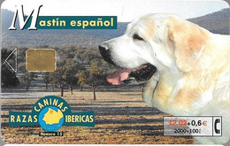 CARTE-PUCE-ESPAGNE-12€-CHIEN-MASTIN ESPANOL-04/01-Exp 12/03-Utilisé-TBE - Chiens