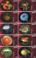 M06189 China Phone Cards Mushroom 80pcs - Flowers