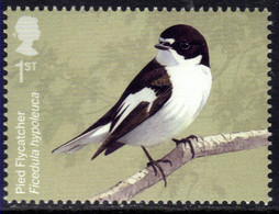 GB 2022 QE2 1st Migratory Birds Pied Flycatcher Umm ( 978 ) - Ungebraucht