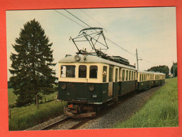 ZPR-06 Ligne De Train Lausanne-Echallens-Bercher  Entre Fey Et Sugnens Photo Hadorn 1986 GF NC - Fey