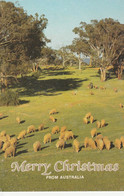 Australia - Rural Victoria - Gippsland