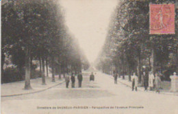 (92) Cimetière De BAGNEUX-PARISIEN . Perspective De L'Avenue Principale - Bagneux