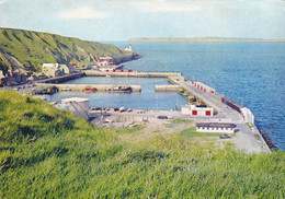 (D-ST140) - SCRABSTER HARBOUR (Caithness, Scozia) - Panorama - Caithness