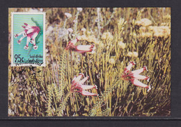 SOUTH AFRICA - 1994 Heathers Flowers Stamped Pre=Paid Postcard As Scan - Briefe U. Dokumente