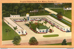 Florida Fort Myers Tropical Palms Court - Fort Myers