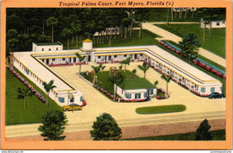 Florida Fort Myers Tropical Palms Court - Fort Myers