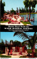 Florida Venice Warm MIneral Springs - Venice