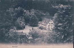 Sihlwald ZH, Chemin De Fer (2480) - Wald