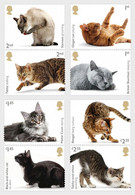 Groot-Brittannië / Great Britain - Postfris/MNH - Complete Set Katten 2022 - Ohne Zuordnung