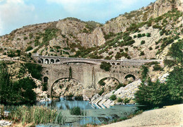 CPSM Aniane-Le Pont Du Diable      L1603 - Aniane