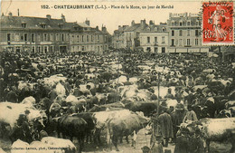 Châteaubriant * La Place De La Motte , Un Jour De Marché * Foire Aux Boeufs Bestiaux - Châteaubriant