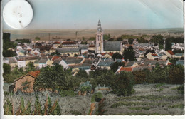 95 -  Carte Postale Semi Moderne De  VIARMES  Vue Générale - Viarmes