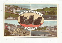 JC, Cp, ECOSSE , A Line Of Good Luck From KINGHORN , Multivues , Chatons , Voyagée - Fife