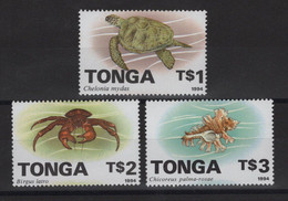 Tonga - N°965 à 967 - Faune Marine - Cote 20€ - * Neufs Avec Trace De Charniere - Tonga (1970-...)