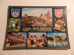 Oude Postkaart Van Duitsland  --  Walsrode - Walsrode