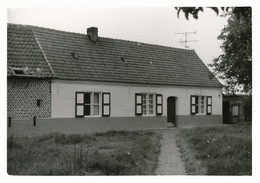 ADEGEM       - FOTO 1970  12 X 8 CM  -    HOEVE  VIERWEEGSE  9       2 SCANS - Maldegem