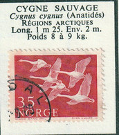 NORVEGE - Faune, Cygne Sauvage - 1956 - MH-oblitéré - Autres & Non Classés