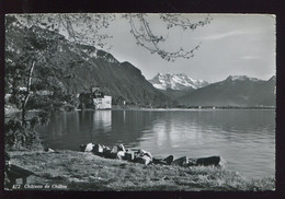 CPSM Non écrite Suisse VEYTAUX Le Château De Chillon - Veytaux