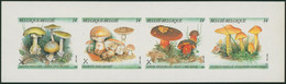 Non Dentelé (1991) - B21 Carnet De Timbres-poste : Champignons - Autres & Non Classés