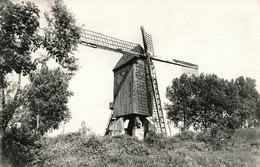 LEMBEKE   DE MOLEN  FOTOKAART        2 SCANS - Kaprijke