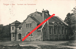 AK Torgau Turnhalle Sporthalle Gymnasium Schule A Südring Rapitzweg Dahlener Friedrich Naumann Leipziger Straße Glacis - Torgau