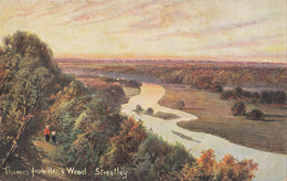 Royaume-Uni - Angleterre - Streatley - Thames From Harl's Wood - Artist - Painting - Reading