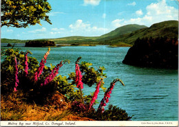 (1 G 25) Ireland - Co Donegal - Mulroy Bay Near Milford - Posted To Australia - Donegal