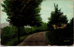 Connecticut New Britain Scene In Walnut Hill Park 1913 - New Britain