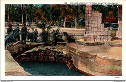 Colorado Denver City Park The Sea Lions Curteich - Denver