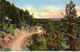 New Mexico Albuquerque Sandia Loop Road Curteich - Albuquerque