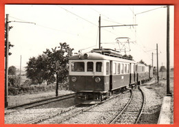 ZQH-07  Train LEB Lausanne Echallens Bercher Arriant à Assens  LEB. BVA Rochaix 1964 GF NC - Assens