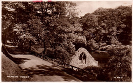 Margam Woods - Glamorgan