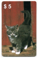 Chat Cat Katze Carte Prépayée Setcall USA Etats-Unis Card ( D 776) - Collections