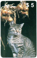 Chat Cat Katze Carte Prépayée Setcall USA Etats-Unis Card ( D 778) - Verzamelingen